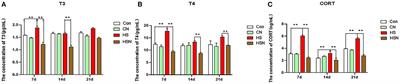 Effects of N-Acetyl-L-Cysteine on Serum Indices and Hypothalamic AMPK-Related Gene Expression Under Chronic Heat Stress